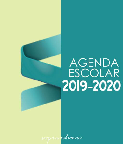 Agenda Escolar 2019-2020 (Profesional)