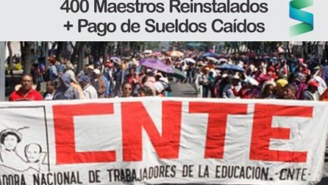 CNTE CNTE