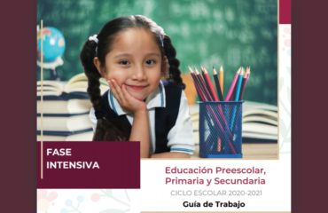 Consejo Técnico Escolar - Fase Intensiva 2020 - 2021