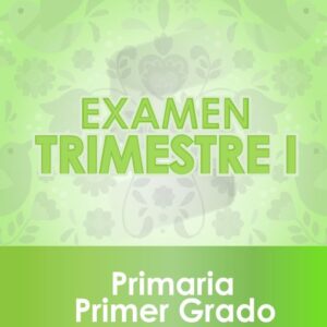 Examen Primer Trimestre - Primer Grado de Primaria 2020 - 2021