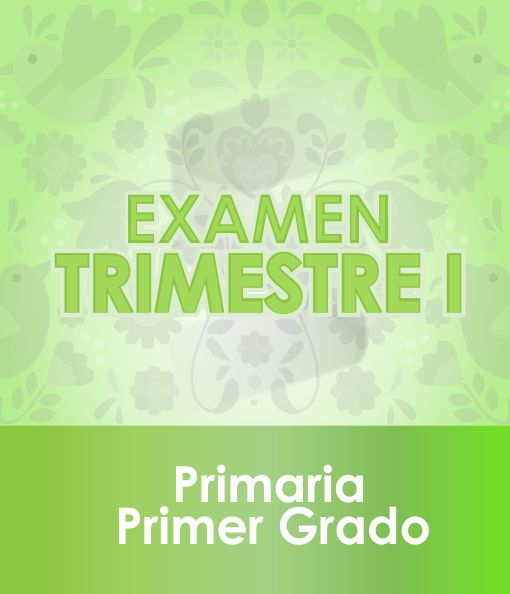 Examen Primer Trimestre - Primer Grado de Primaria 2020 - 2021