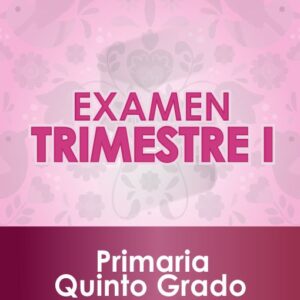 Examen Primer Trimestre - QUINTO Grado de Primaria 2020 - 2021