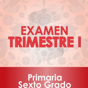 Examen Primer Trimestre - SEXTO Grado de Primaria 2020 - 2021