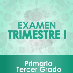 Examen Primer Trimestre - TERCER Grado de Primaria 2020 - 2021
