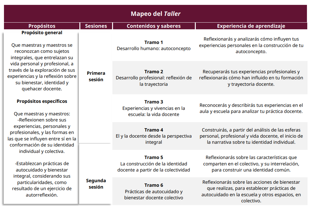 Mapeo de la Junta de Consejo Tecnico escolar Fase Intensiva Enero