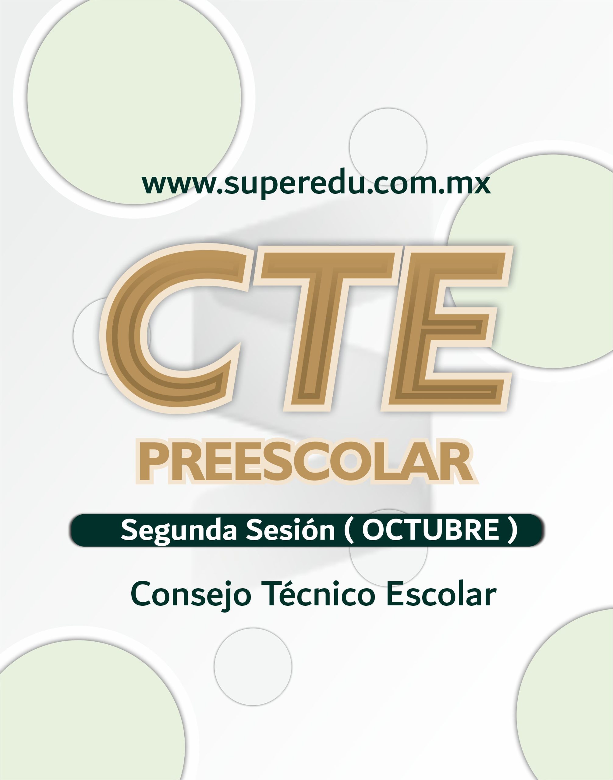 CTE Preescolar Segunda Sesión Ordinaria - OCTUBRE 2025