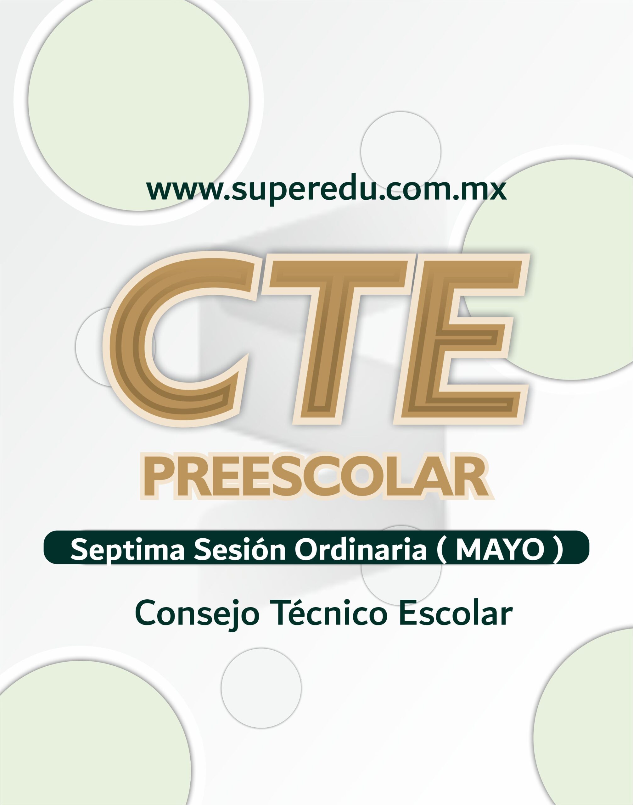 CTE Preescolar Séptima Sesión Ordinaria - MAYO 2026