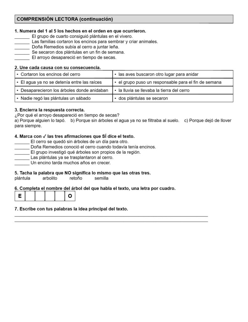 Ejemplo Examen 4° Primaria Trimestre I - página 2