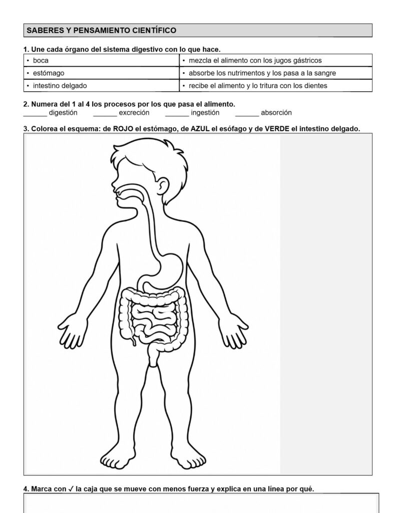 Ejemplo Examen 4° Primaria Trimestre I - página 6