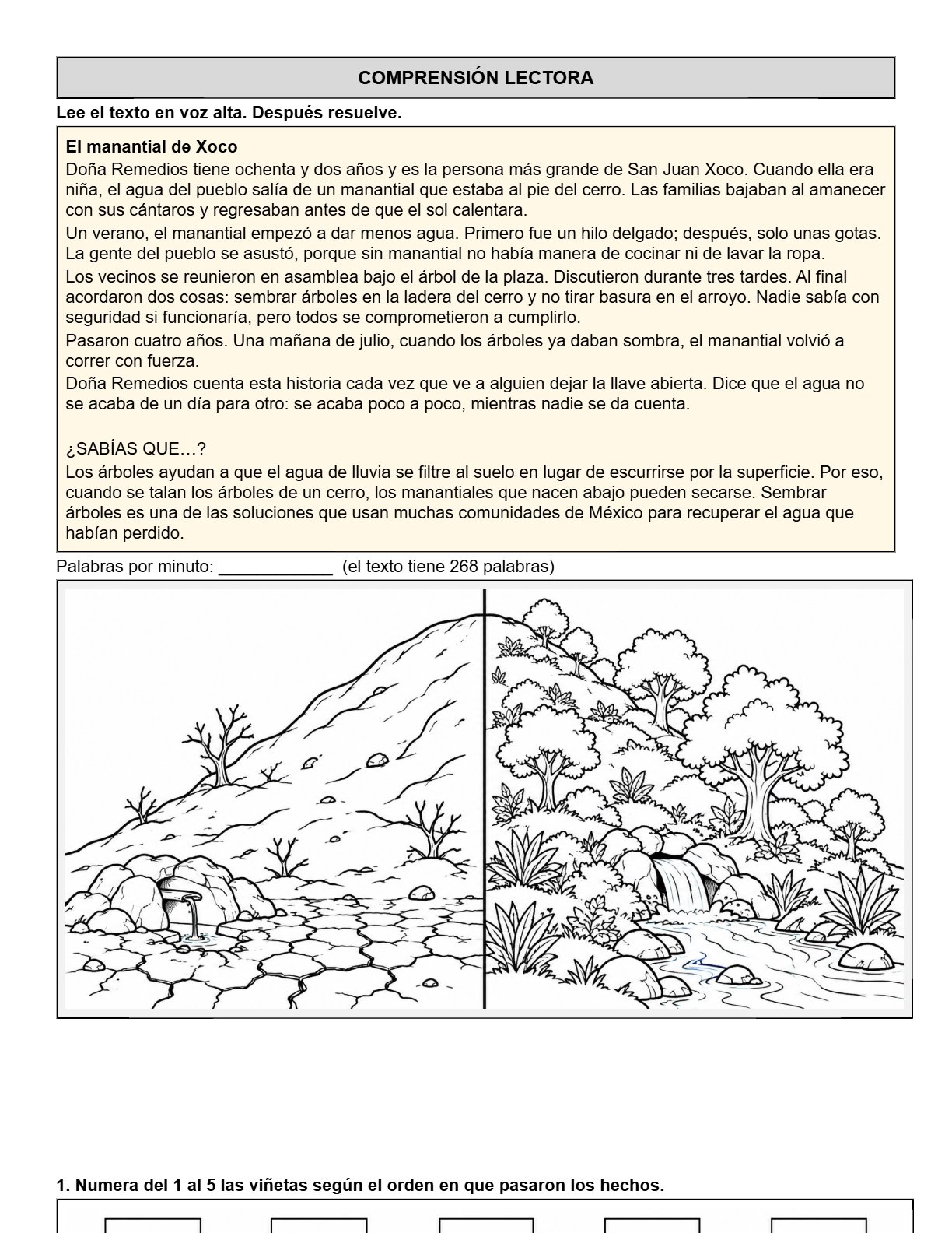 Ejemplo Examen 3° Primaria Trimestre I - página 1
